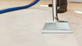 Carpet cleaning wand head gliding over a light carpet during hot-water extraction, Madison, WI.
