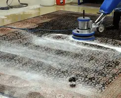 Professional rug cleaning with a rotary floor machine and shampoo foam, deep-cleaning an area rug, in Madison, WI.
