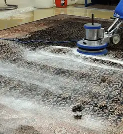 Professional rug cleaning with a rotary floor machine and shampoo foam, deep-cleaning an area rug Madison, WI.